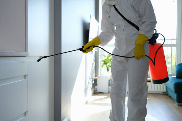 Best Crawl Space Mold Removal  in Clatskanie, OR