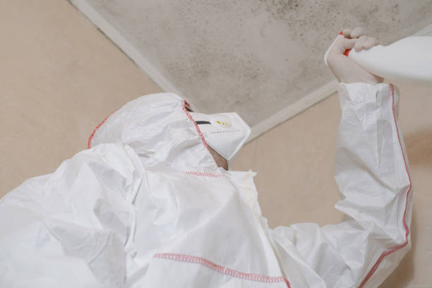 Water Damage Restoration in Clatskanie, OR