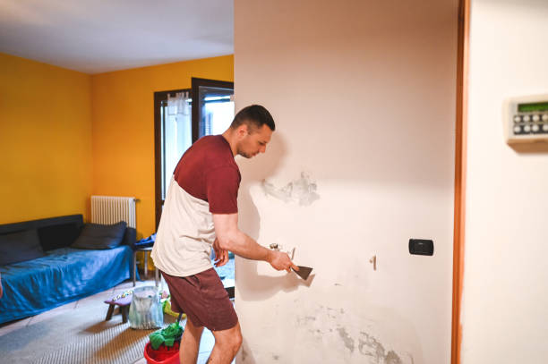Best Home Mold Removal  in Clatskanie, OR
